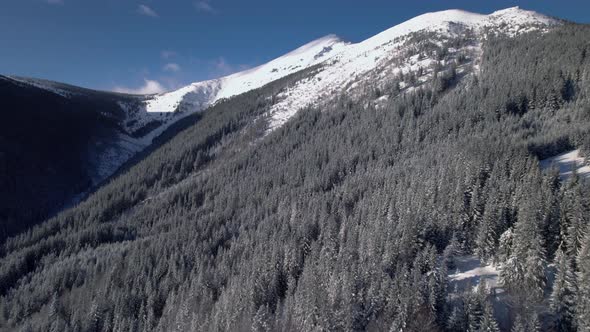 Drone Rising Above Forest Hill Revealing White Mountain Top