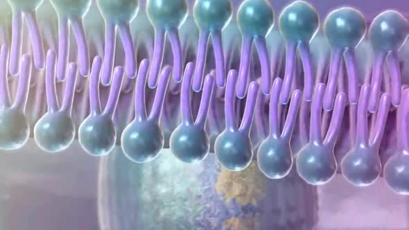 Neurons With Amyloid Plaques, Animation alt