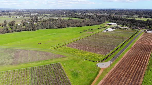 Aerial View of a Plantation in Australia