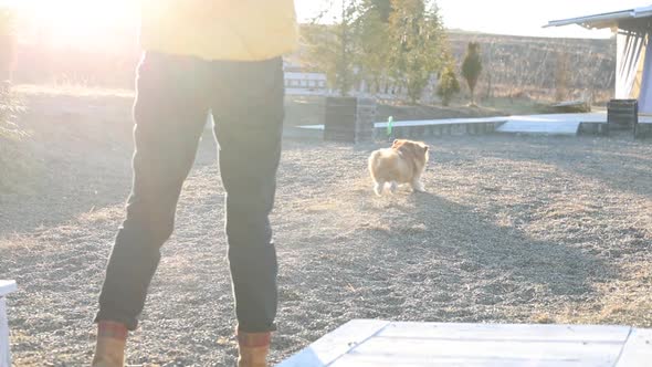 Girl Playing With The Corgi On A Lawn 11