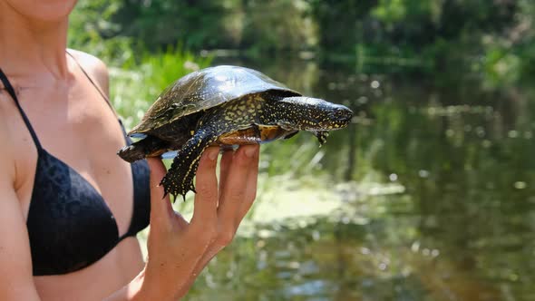 Turtle Lies on the Woman Hand on Backdrop of River with Green Vegetation