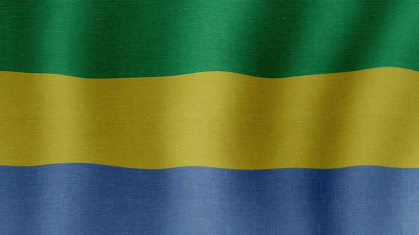 The National Flag of Gabon