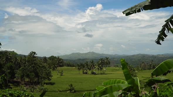 Mountains with Tropical Forest