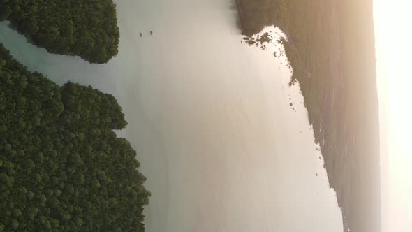 Zanzibar Tanzania  Coast of Island Covered with Thickets Slow Motion