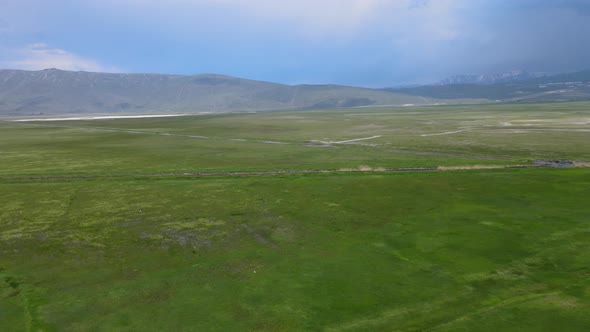 green meadows landscape