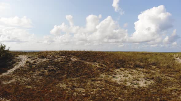 AERIAL: Reveal shot of the sea across the hil