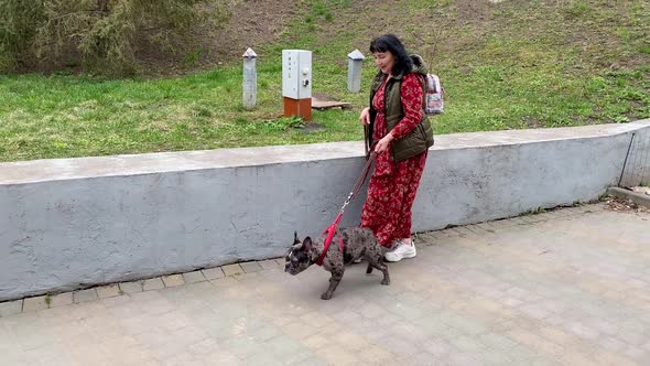 Elderly Woman Walking French Bulldog Dog on Leash Outdoors