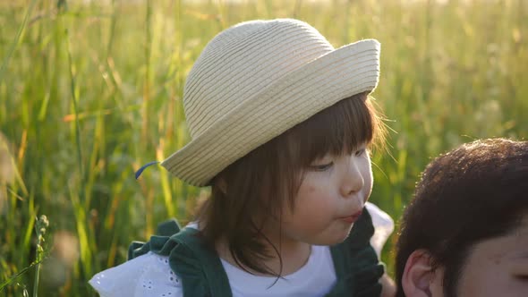 Korean Family with Their Daughter Lie in a Field in the Grass at Sunset