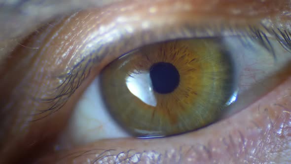 Macro Close-up Male Human Eye Blinking. Slow Motion