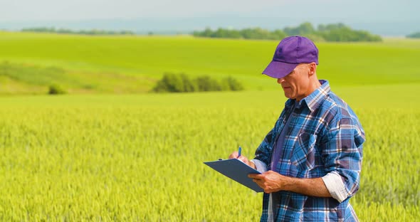 Male Farmer Analyzing Wheat While Making Report