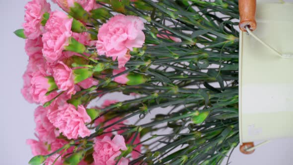 Close-up of a large number of pink carnations in a tin vase rotating.