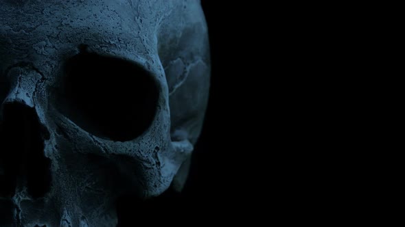 Passing Old Human Skull In The Dark