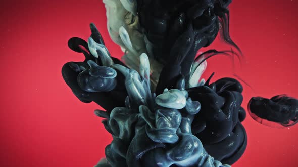 White and Black Color Paint in Water. The Ink Is Curled Under the Water. alt