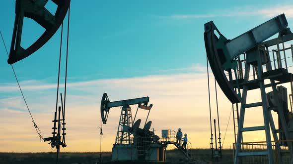 Multiple Working Oil Pumps in an Oil Field at Bright Sunset