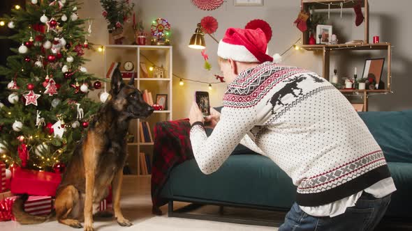 Man Taking Photo of Dog Posing on Christmas Tree Background Using Smartphone