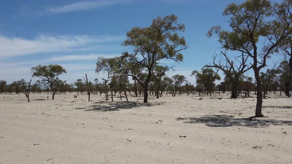 Dry grey dirt in outback Australia