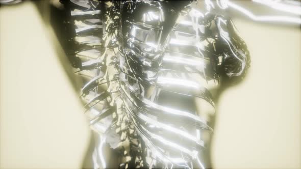 Inspection of Blood in the Blood Vessels of the Circulatory System alt