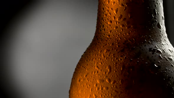 Cold Beer Bottle with Water Drops. Close Up Shot of Beer Over Dark Background with Rotation