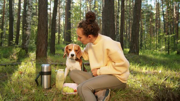 Young Woman Petting Cute Dog on Picnic