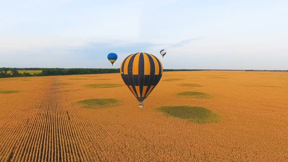 Couple of Hot Air Balloons Floating Over Golden Fields, Mesmerizing Landscape