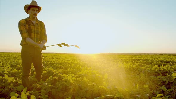 Caucasian Agronomist Male Farmer Spraying Fertilizers on Soybean Plant Field