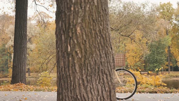 Young Woman Rides Bicycle Along Alley in Autumn Park
