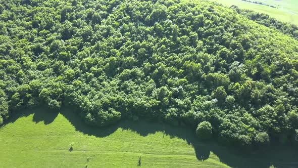 Aerial view of the deep green landscape and dense forest in the nature preserve in Romania known as