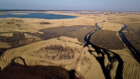 Aerial view of the lake overgrown with brown reeds, lake Pape nature park, Rucava, Latvia, sunny spr