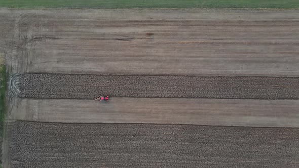 Small Scale Farming with Red Tractor Plowing Plow in Field