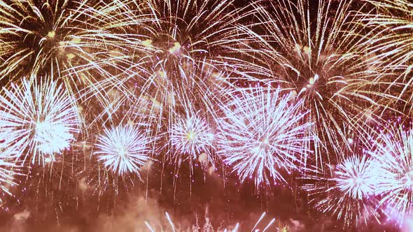 Colorful Fireworks Exploding in the Night Sky