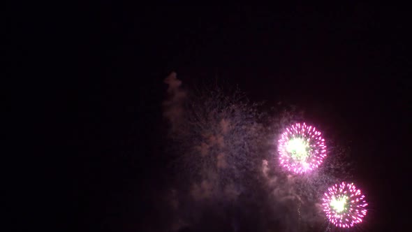 Colorful Firework display at night on sky background