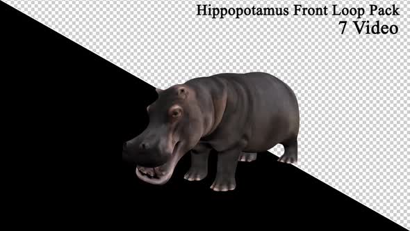 Hippopotamus Front View Loop Pack