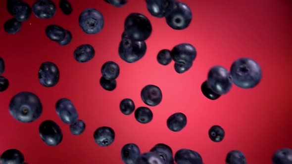 Big Blueberry Bounces and Spins on Red Background