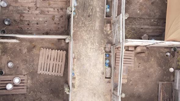 Aerial View of a Shelter for Stray Dogs