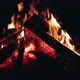 Burning Campfire at Night  CloseUp - VideoHive Item for Sale