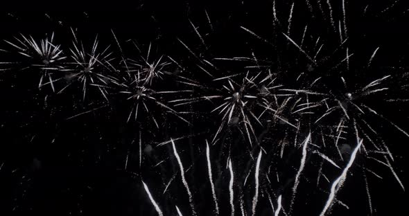 Spider effect white fireworks multiple explosions