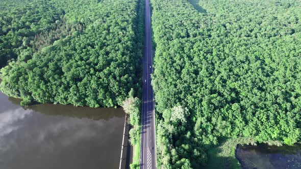 Aerial View of a Car Road in Leafless Forest