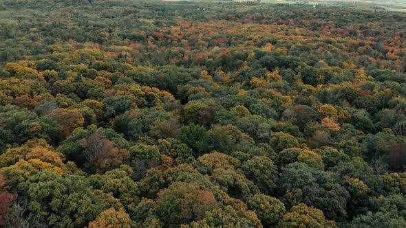 Drone flight over fall forest in Canada. Autumn leaves and trees. Orange, Red, Yellow and Green beau