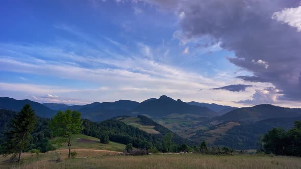 Sheep Grazing On Grassy Meadows In Beautiful Mountain Scenery