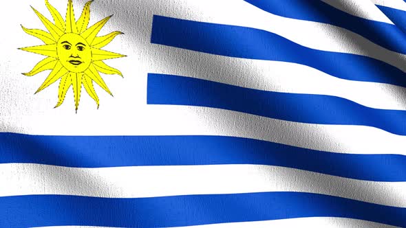 Seamless Loop 4K VDO. Uruguay national flag blowing in the wind isolated.