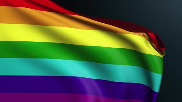 Gay Pride Flag Lgbt Tolerance Rainbow Color Symbol