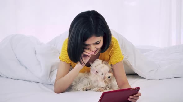 Young woman using tablet in bed with her Maltese dog.