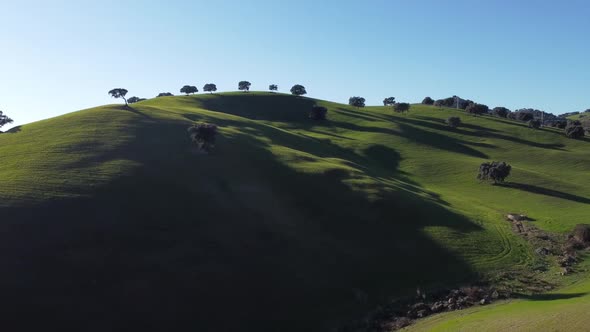 Aerial drone shot in beautiful calm meadow on sunny summer day, Seville Spain