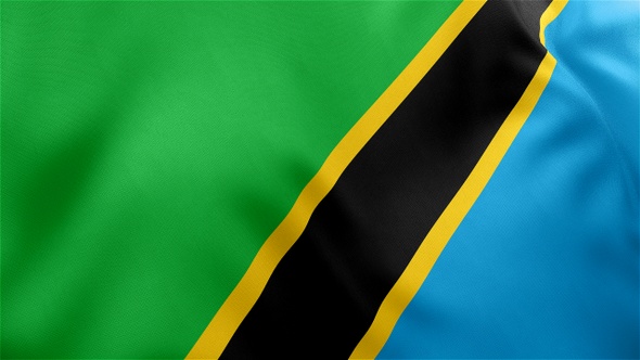 Tanzania Flag