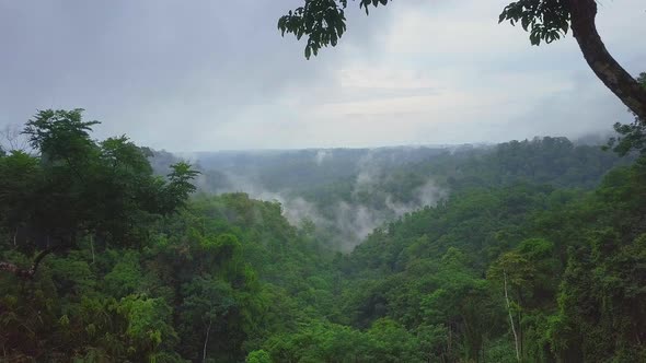 Aerial flying past trees in misty rainforest in Costa Rica on a foggy morning