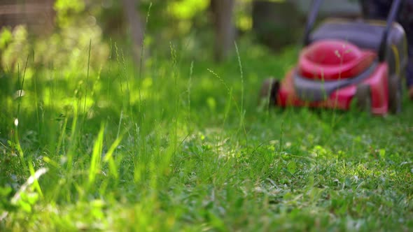 Lawn mower in the garden