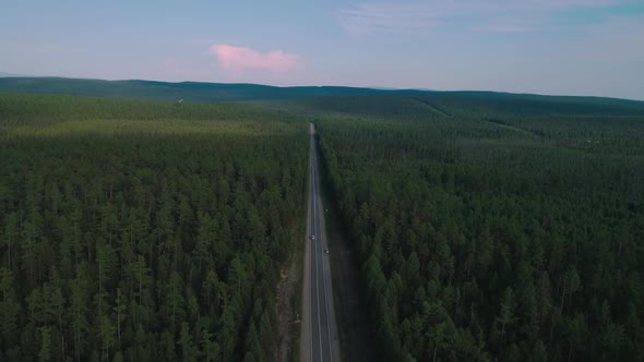 AERIAL, TOP DOWN: Dark Colored Car Driving Down an Asphalt Road Crossing the Vast Forest on a Sunny