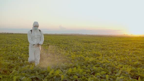 Spray Ecological Pesticide. Farmer Fumigate in Protective Suit and Mask Spraying Fertilizers on