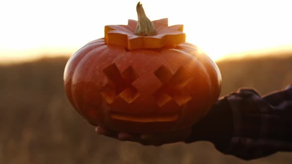 Beautiful Halloween Pumpkin in Her Hands at Sunset in the Glare of the Sun a Fire Flickering in