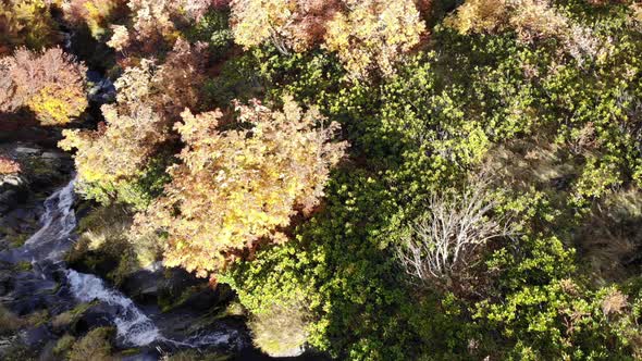 Drone Flight Over a Mountain Stream